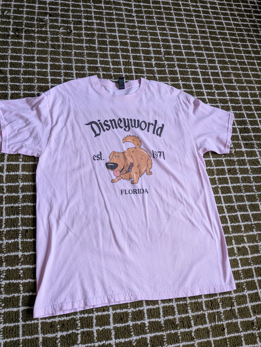 Dug From Up Disney Florida Pink Graphic T-Shirt